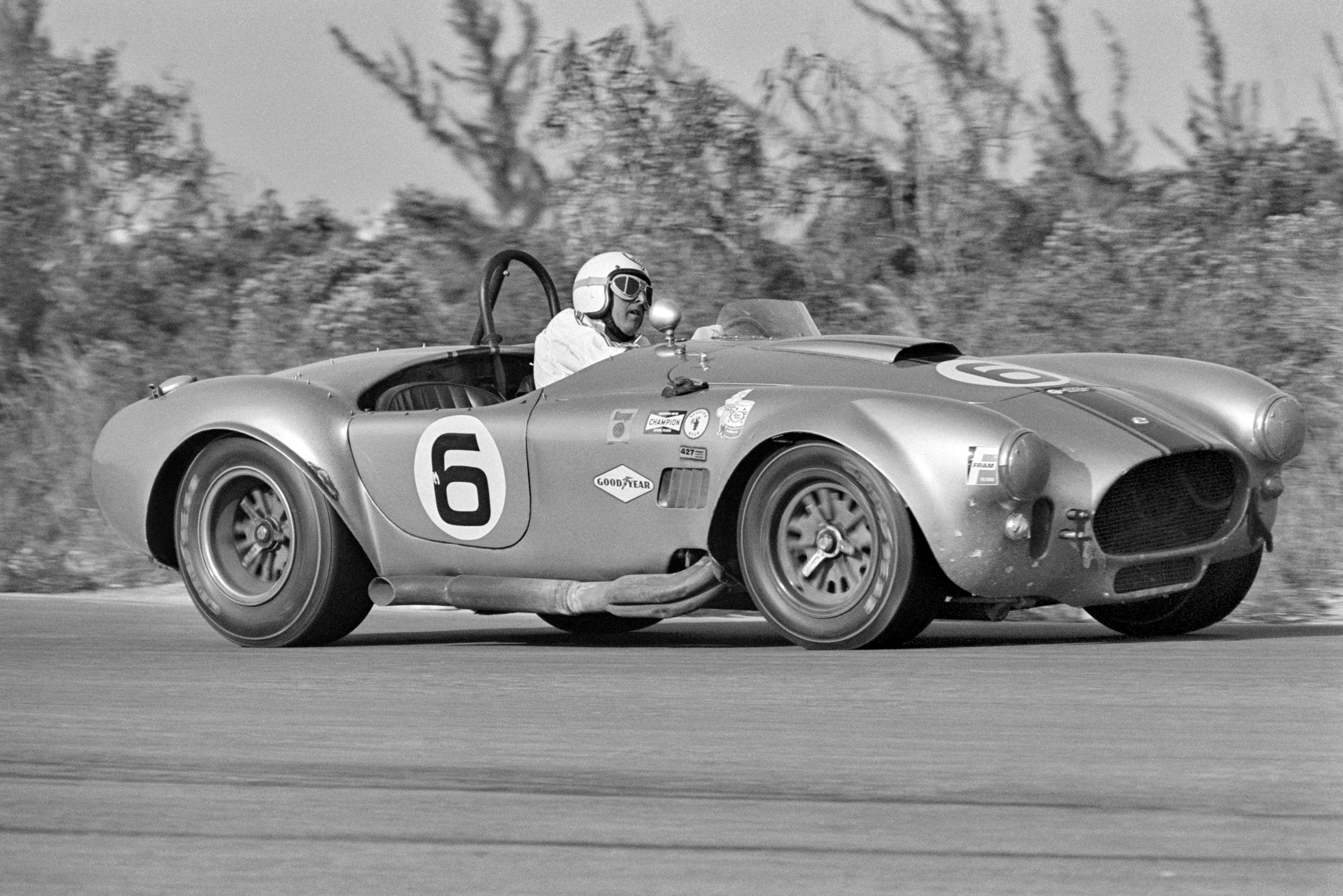 Shelby Cobra 5 0
