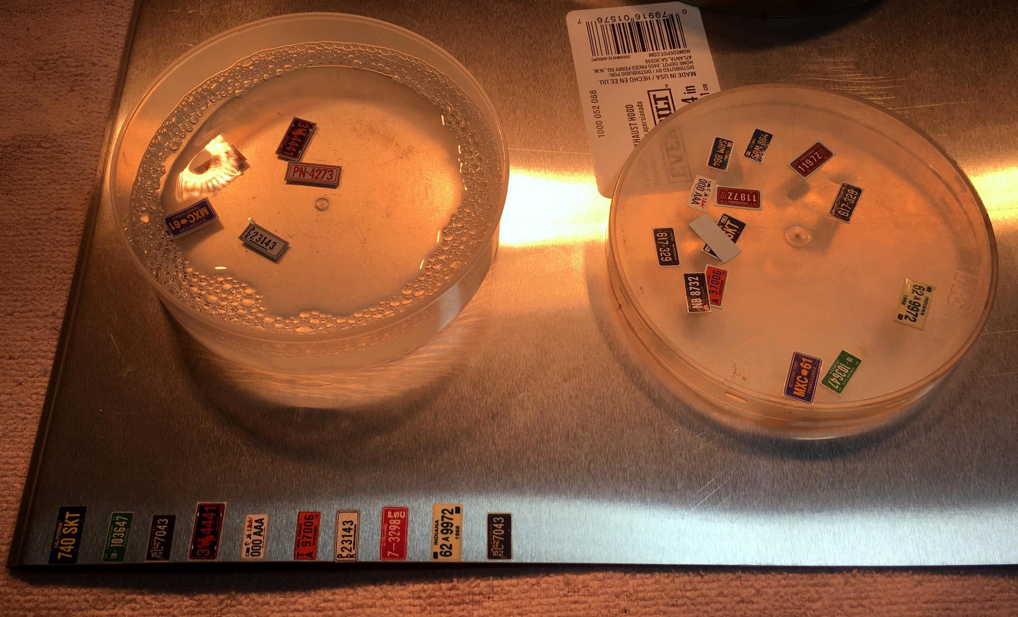 License plates 1.JPG