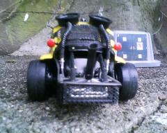 My Killer Bee Vee Wee 051.jpg