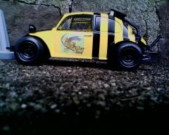 My Killer Bee Vee Wee 057.jpg