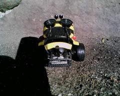 My Killer Bee Vee Wee 045.jpg