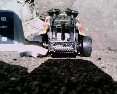 My Killer Bee Vee Wee 044.jpg