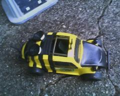 My Killer Bee Vee Wee 054.jpg