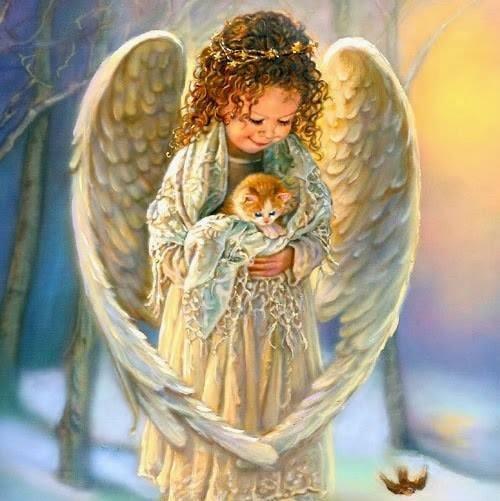 575907821_AngelKitten.jpg.b5f07790afec1eec7560a91bec53dbb6.jpg