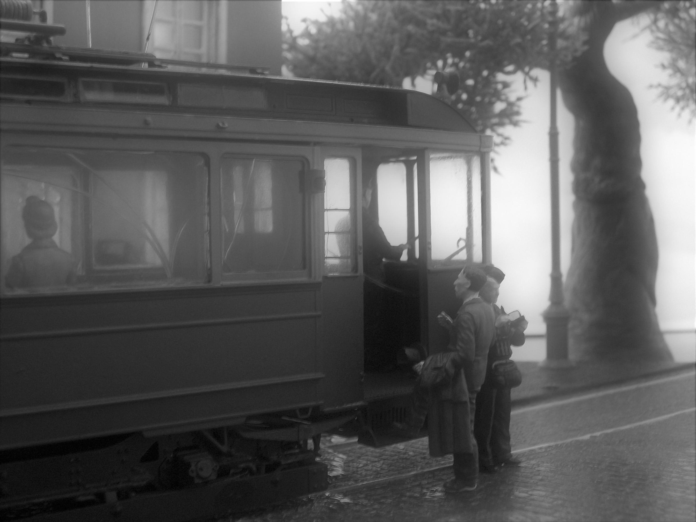 100_9739 - Copy_1.jpg