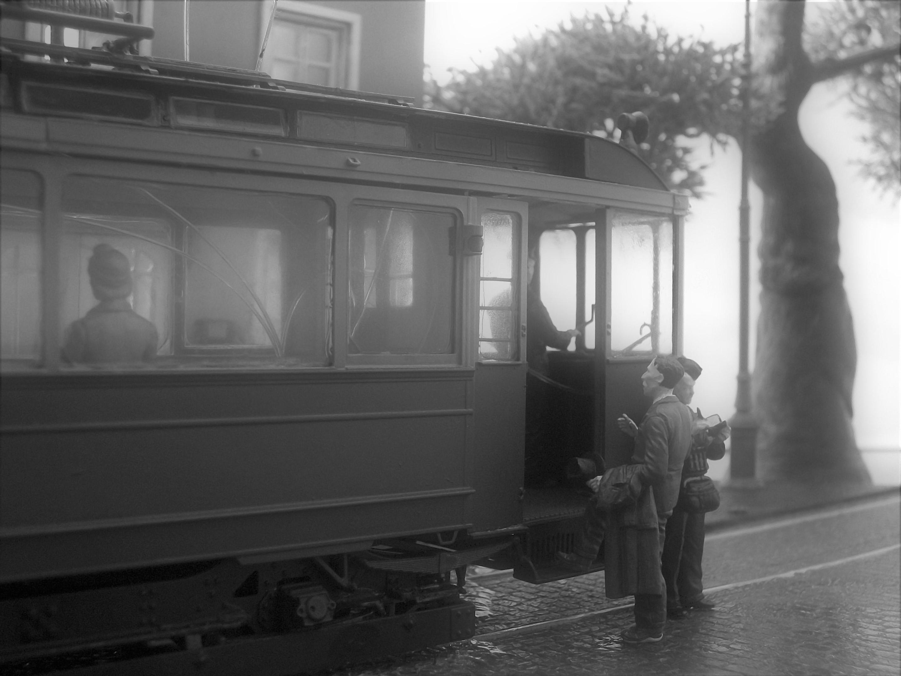 100_9741 - Copy_1.jpg