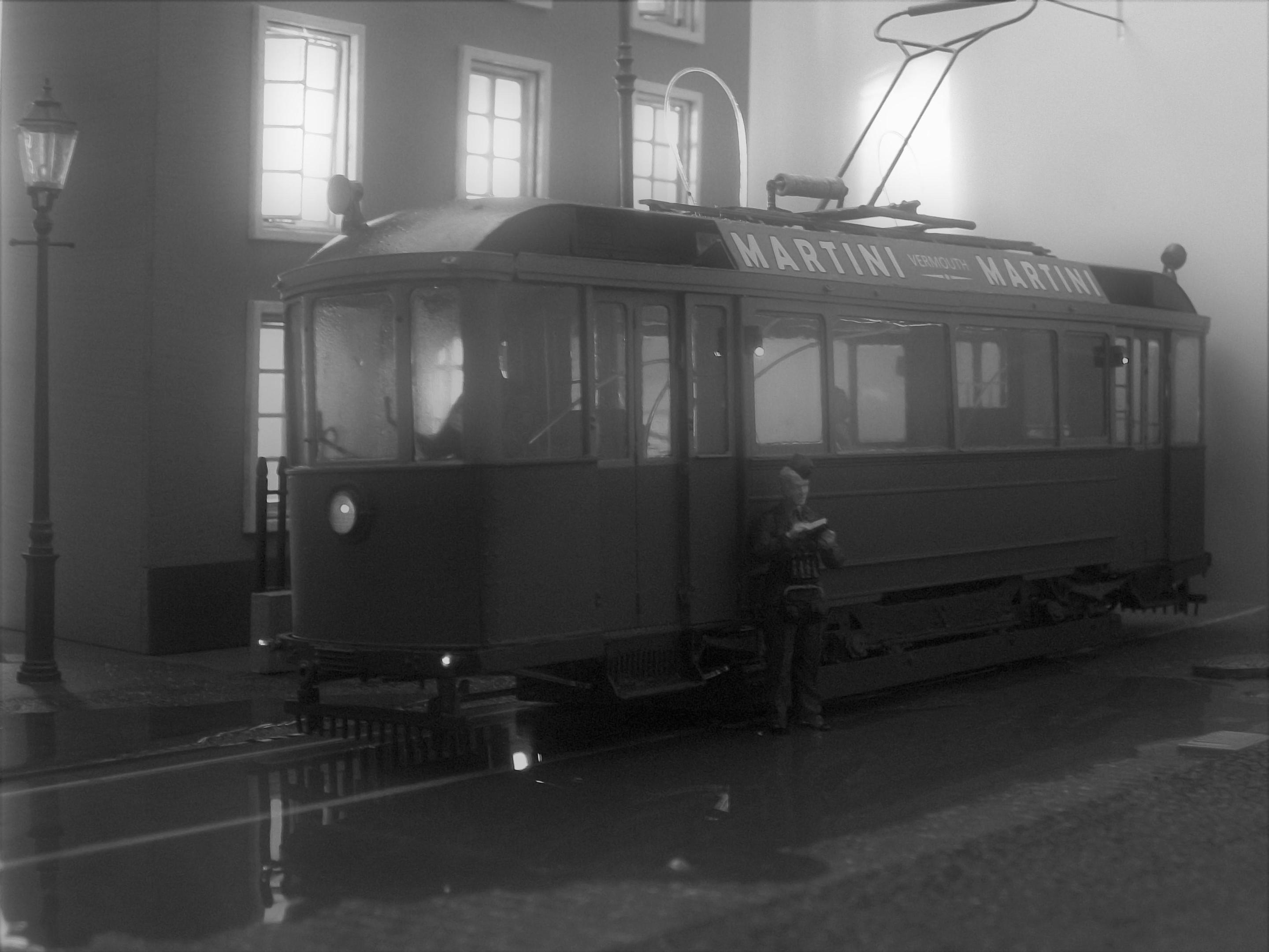 100_9445 - Copy_1.jpg