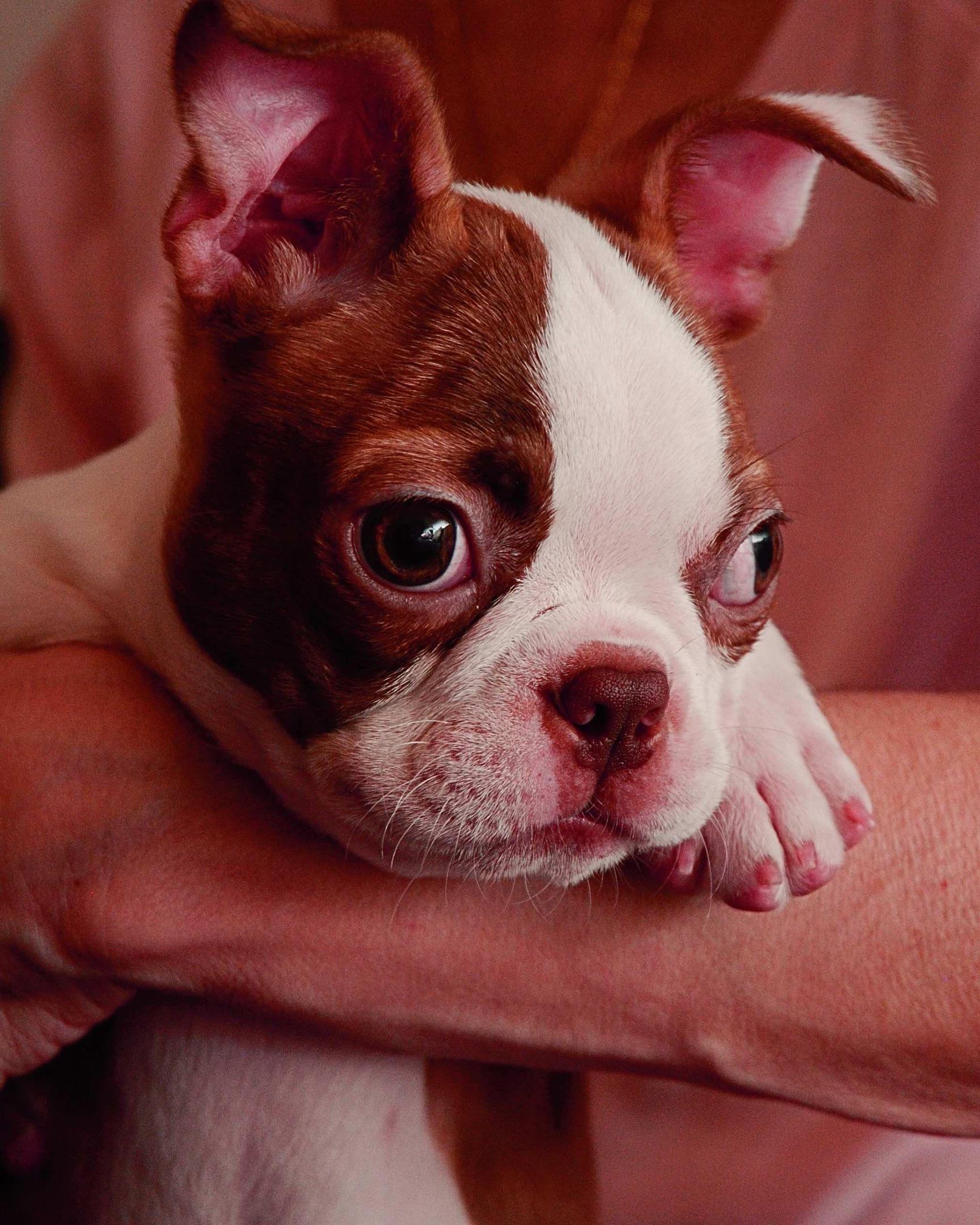 20150204 009 small.jpg