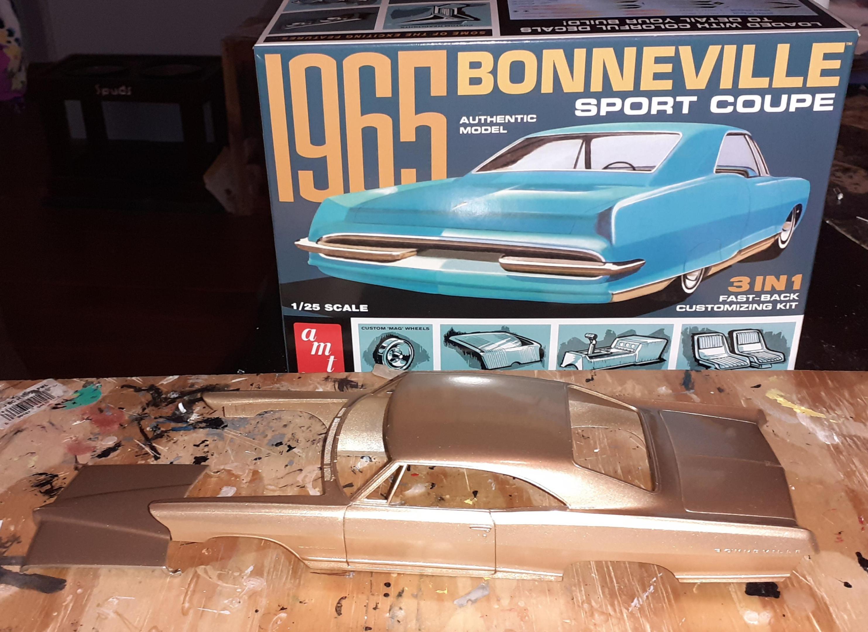 65 bonny indoor paint flash1.jpg