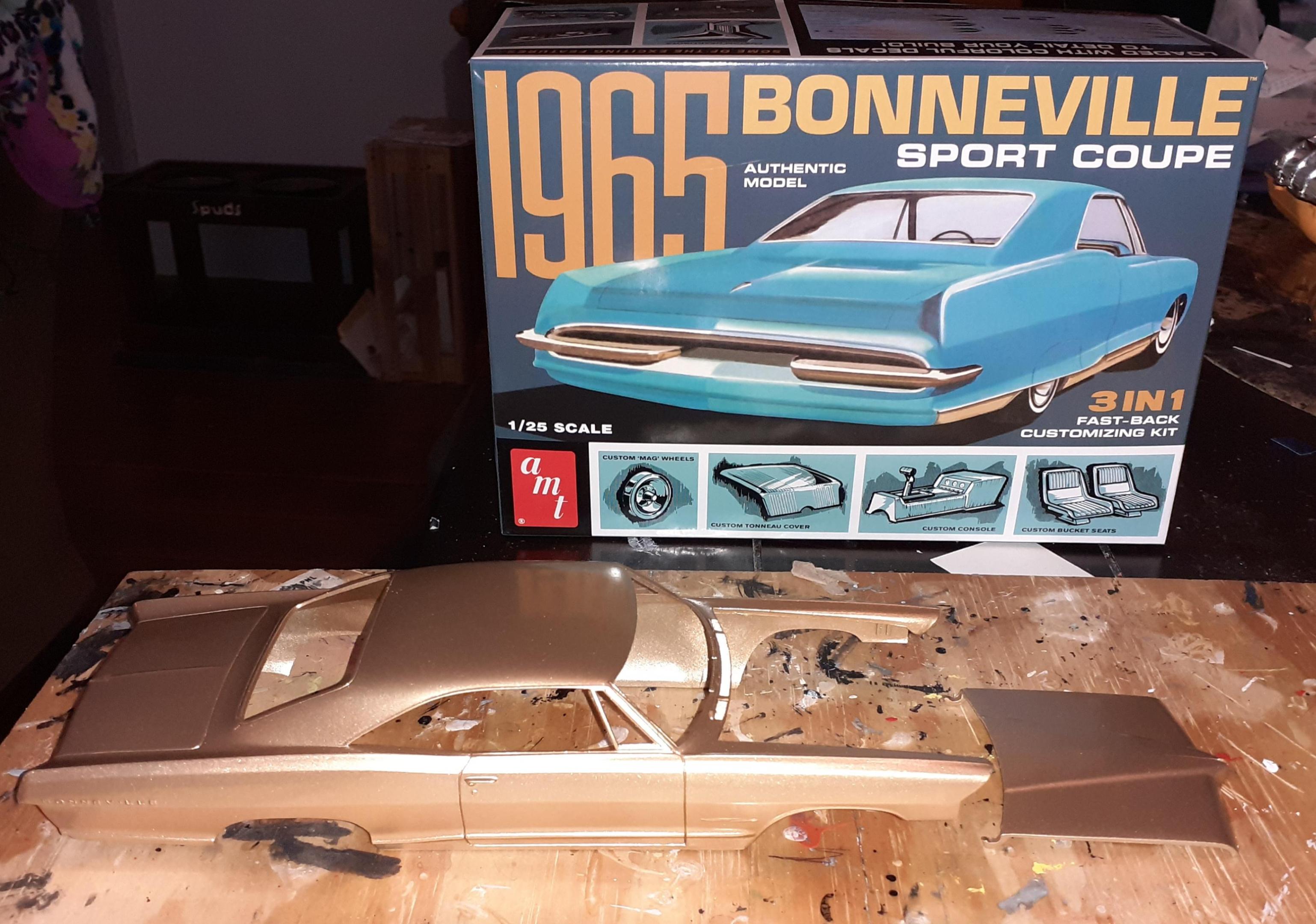 65 bonny indoor paint flash5.jpg