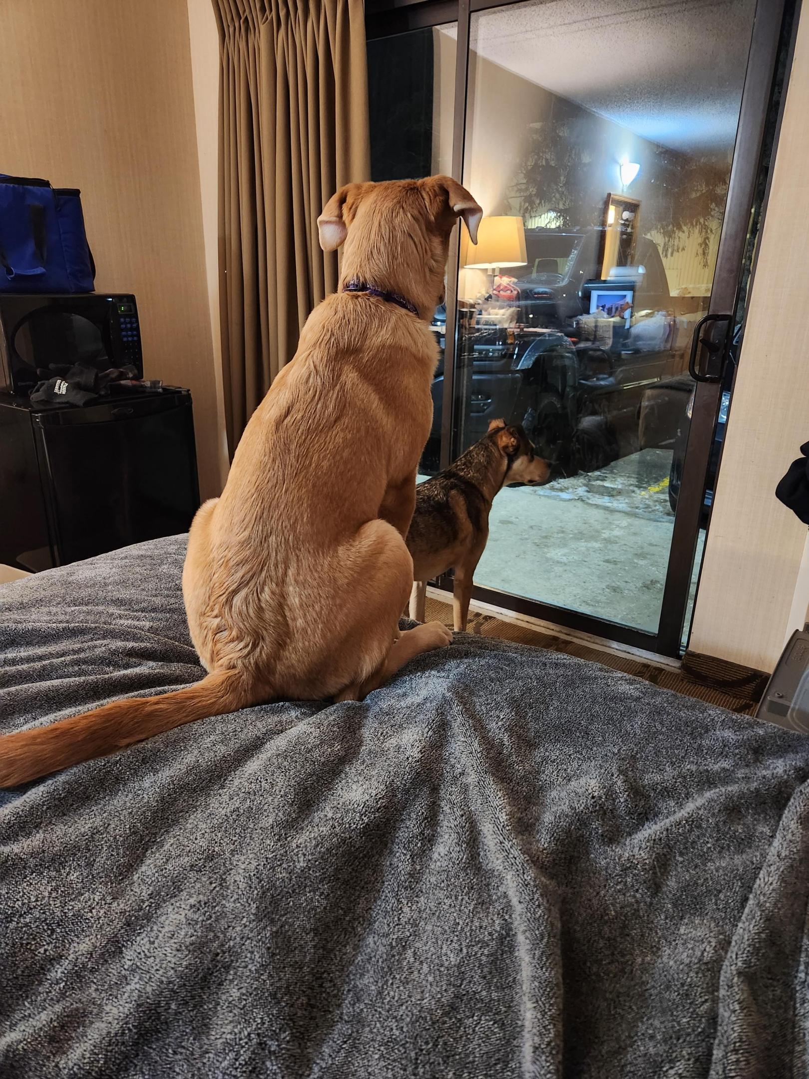 20230203_203907 (002).jpg