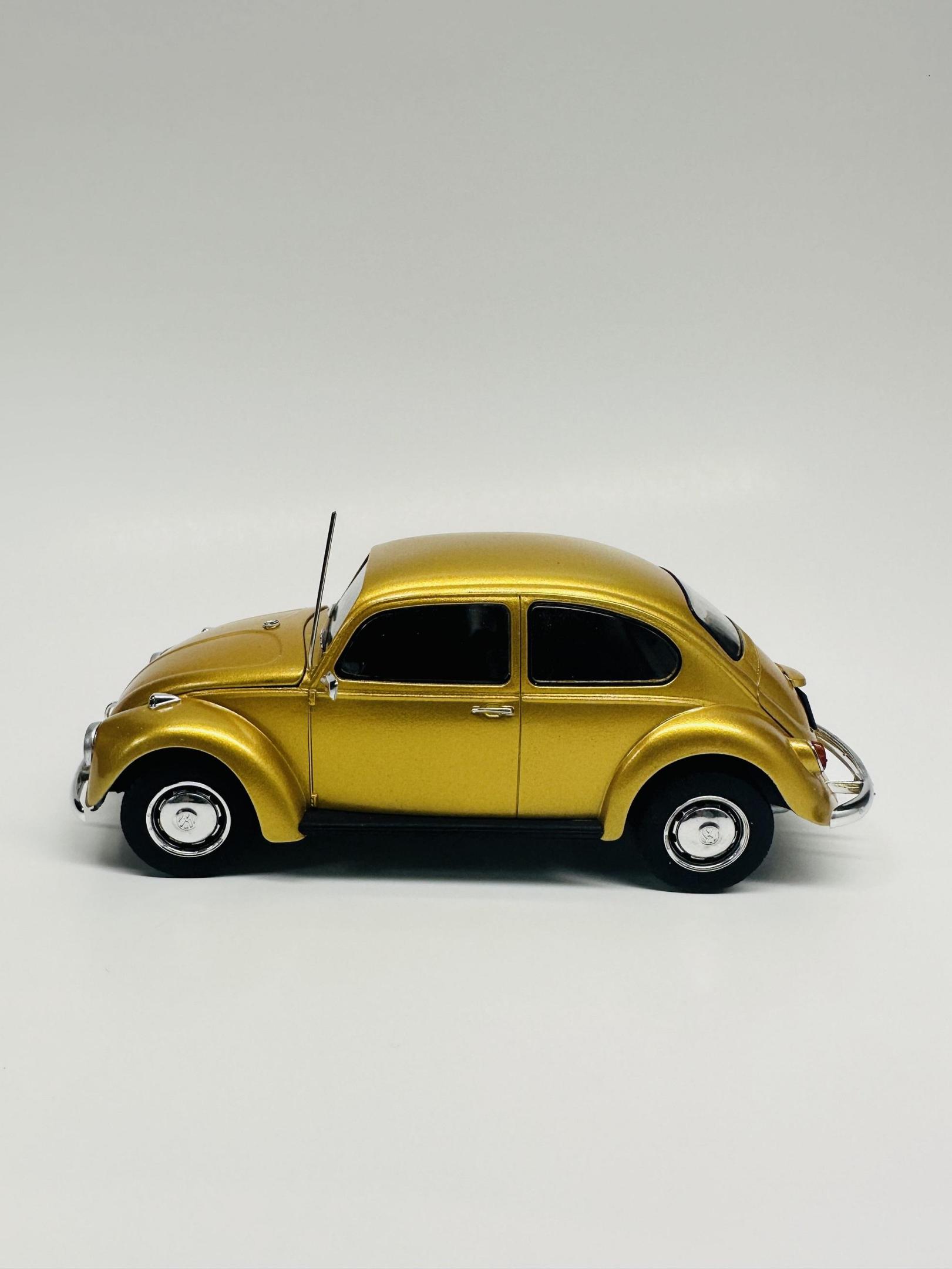 68_beetle_done1.jpg
