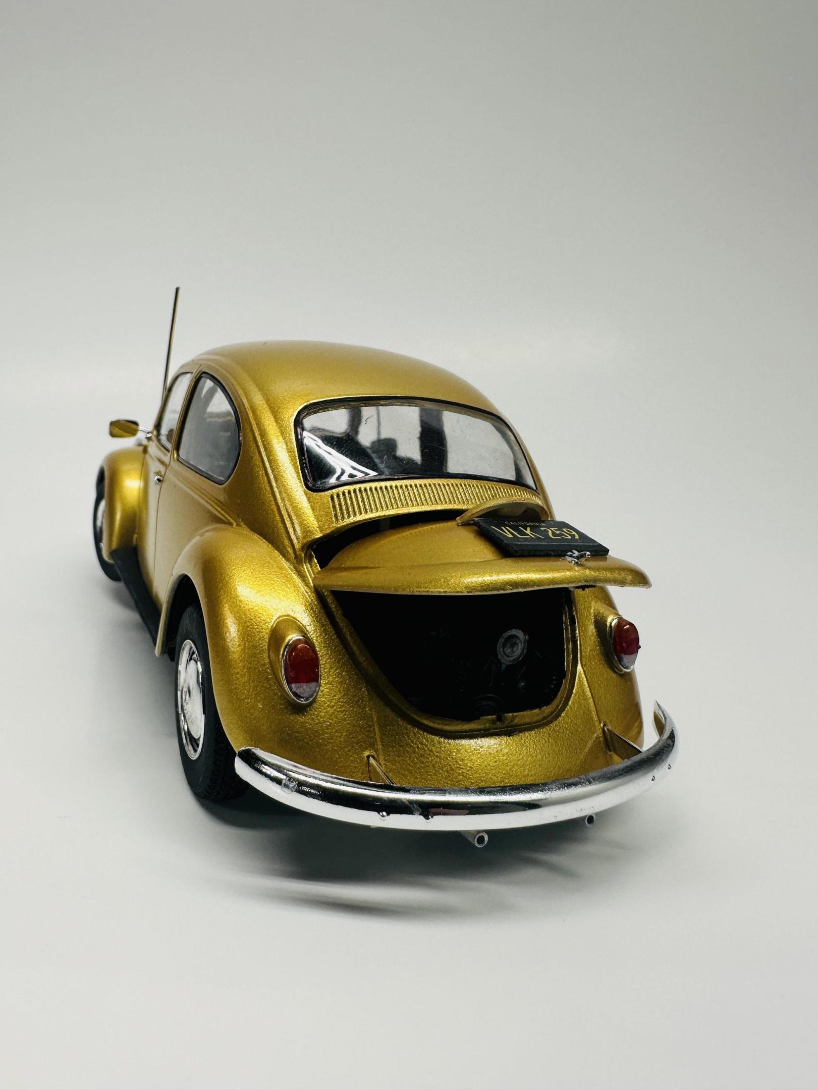 68_beetle_done2.jpg