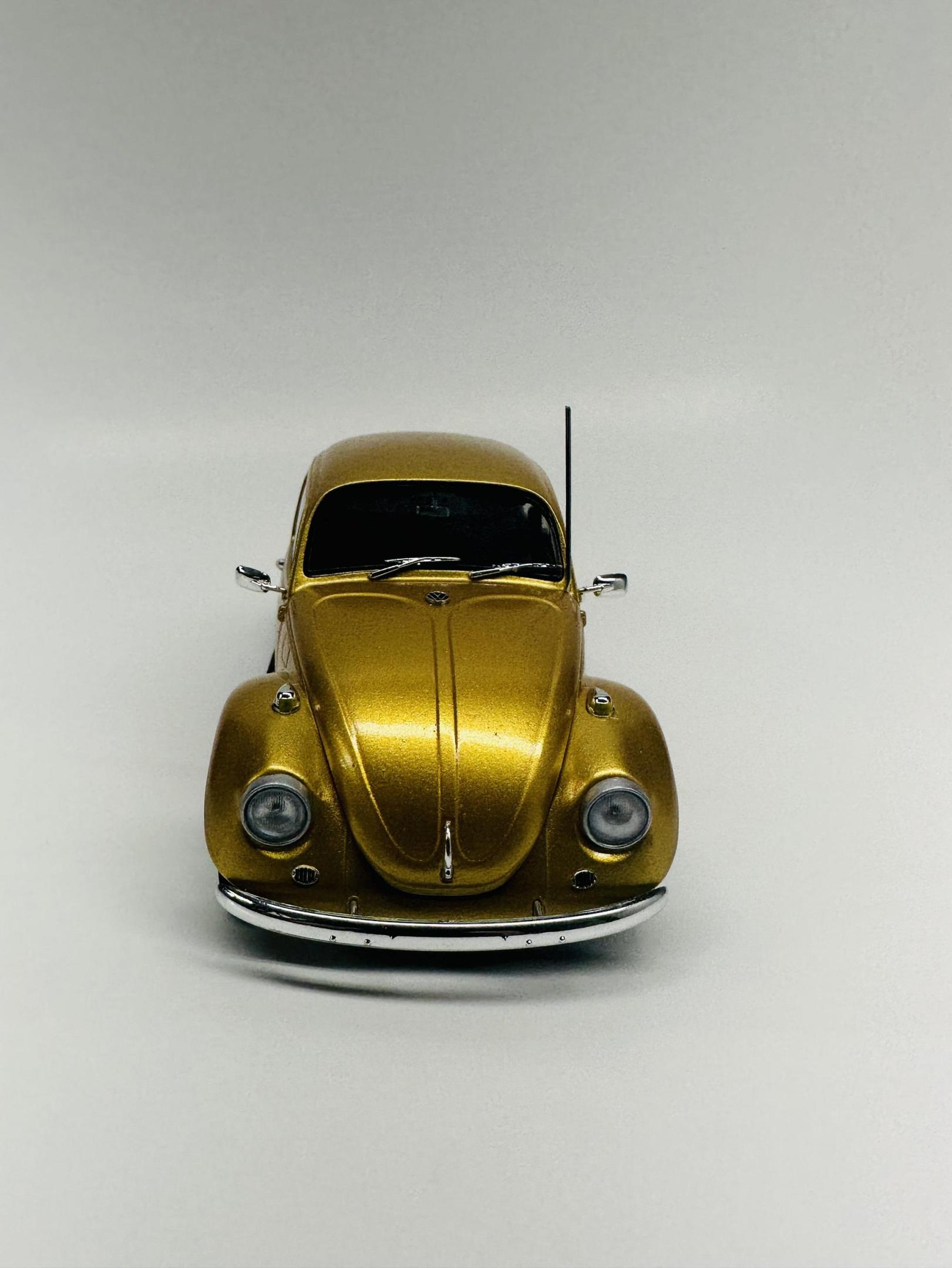 68_beetle_done3.jpg