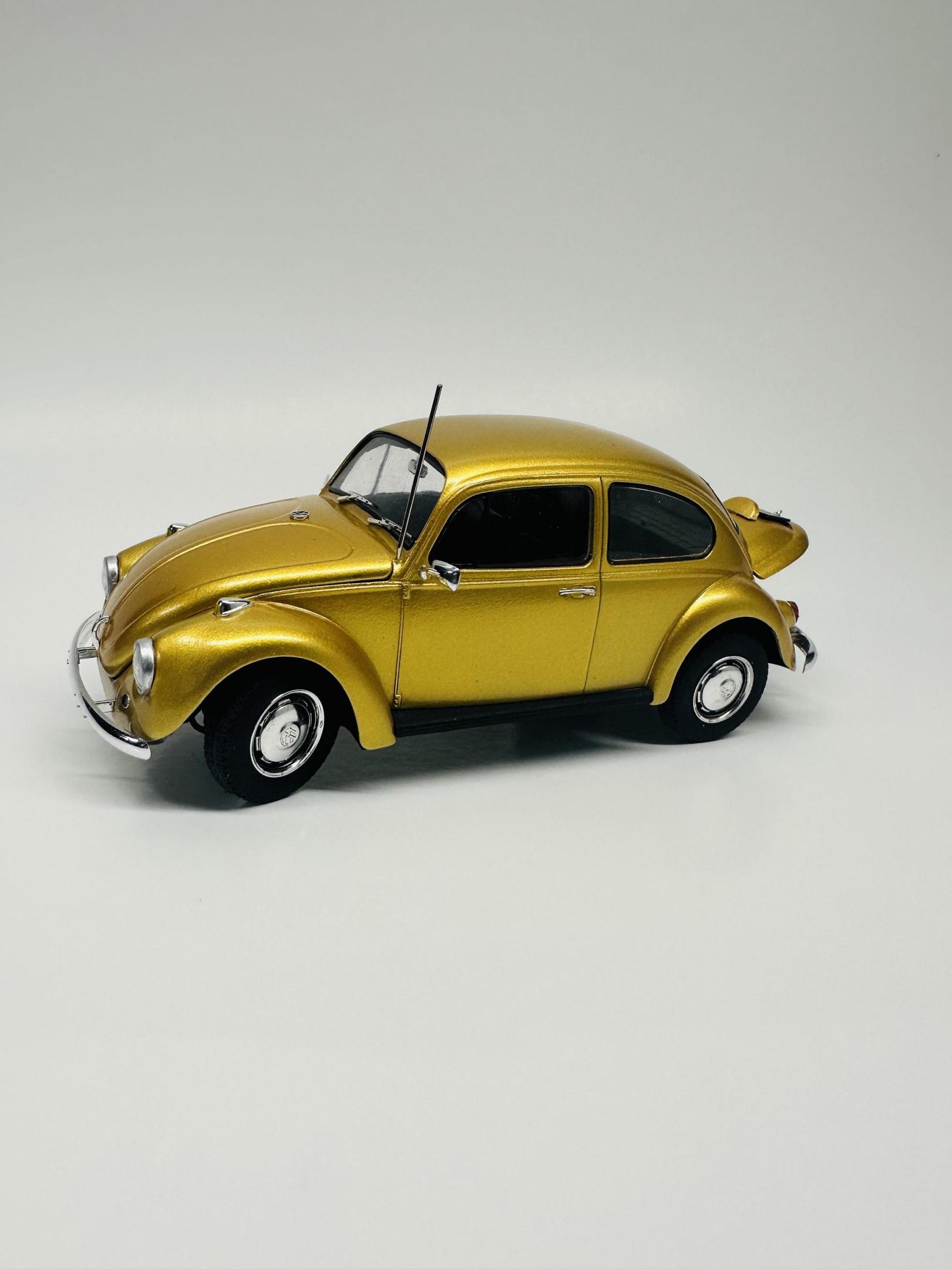 68_beetle_done5.jpg