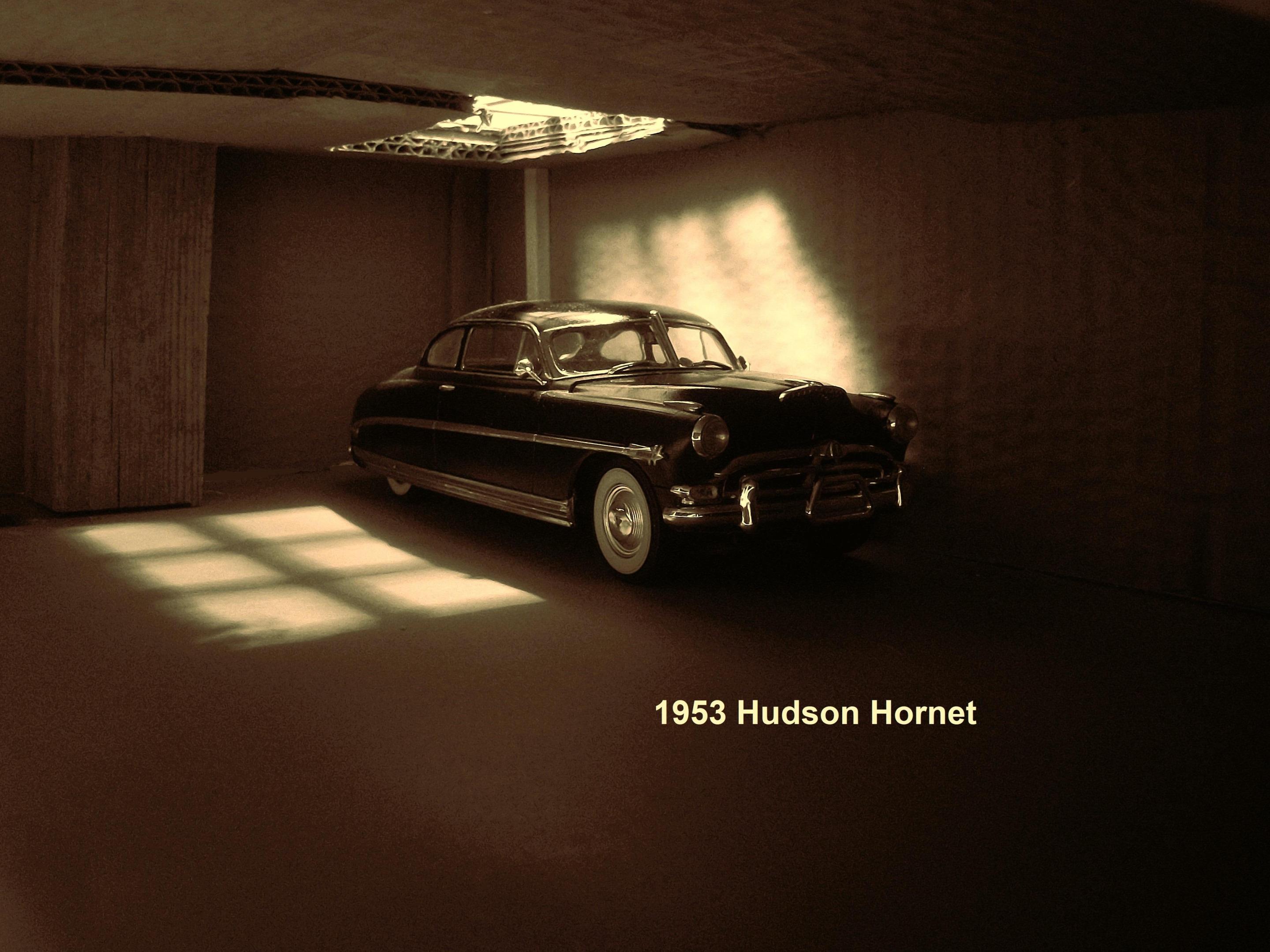 100_3897 - Copy_Golden_2 - Copy.JPG