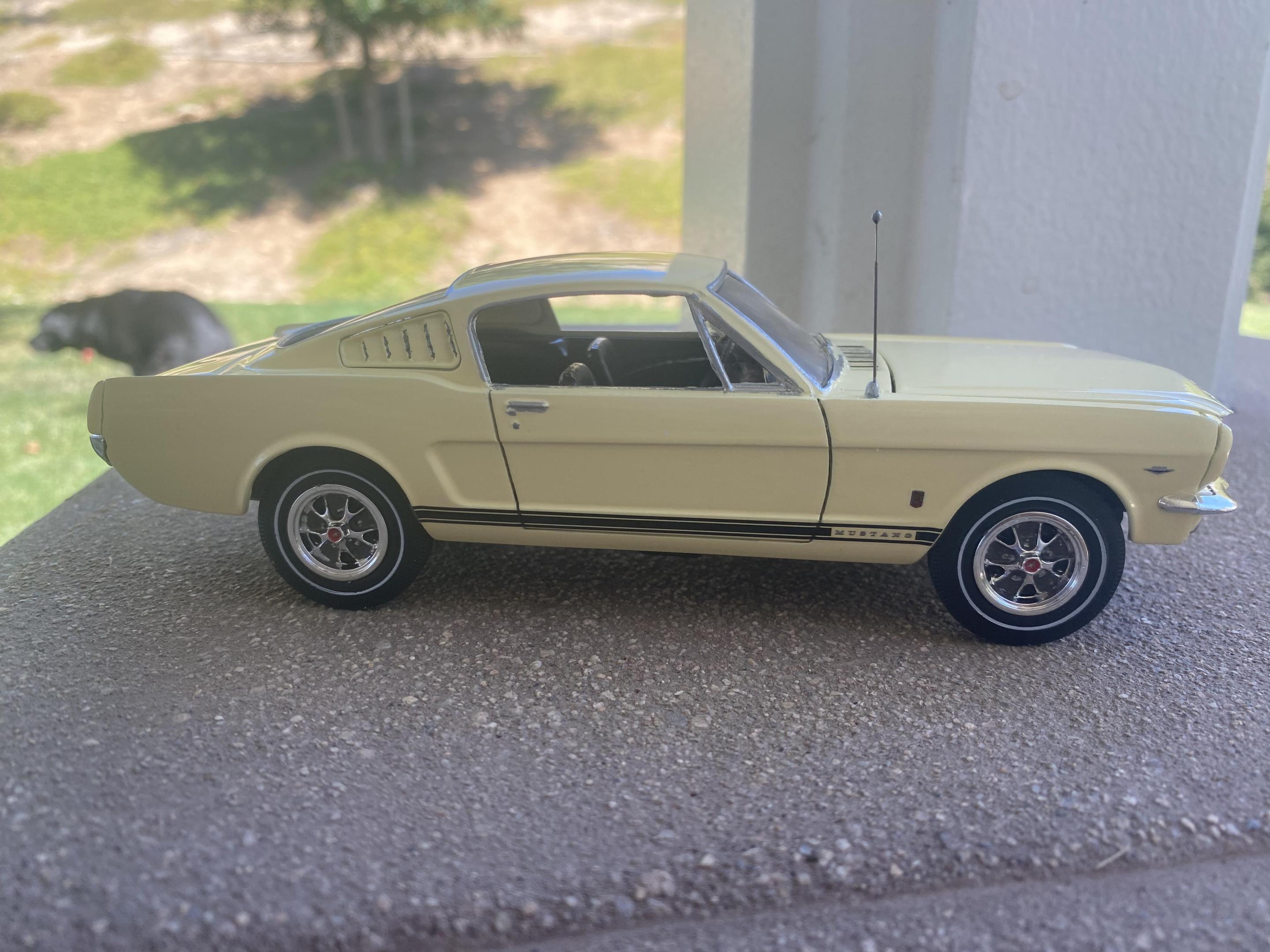 2023-08-16 12.54.11.jpg