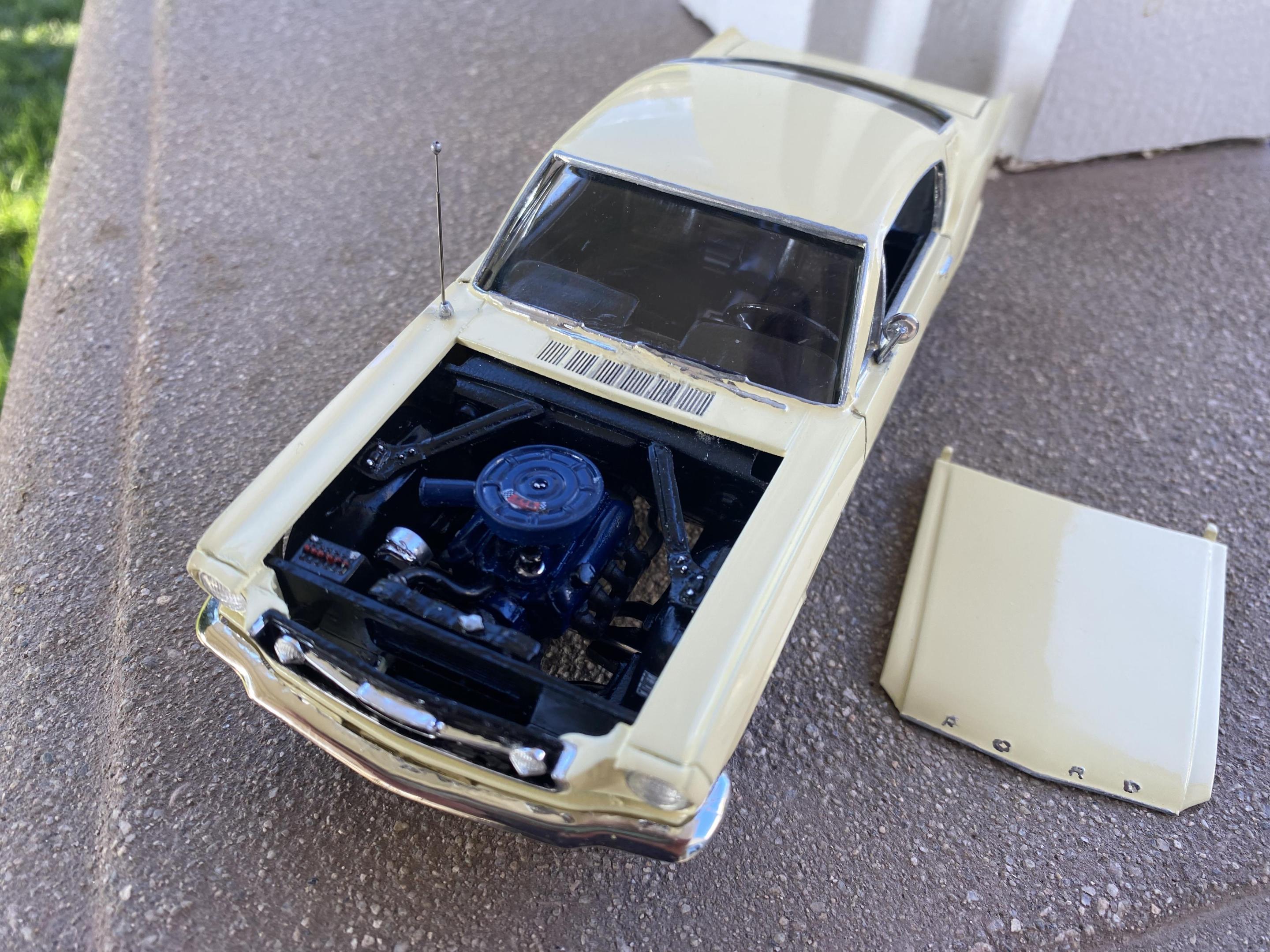 2023-08-21 18.07.17.jpg