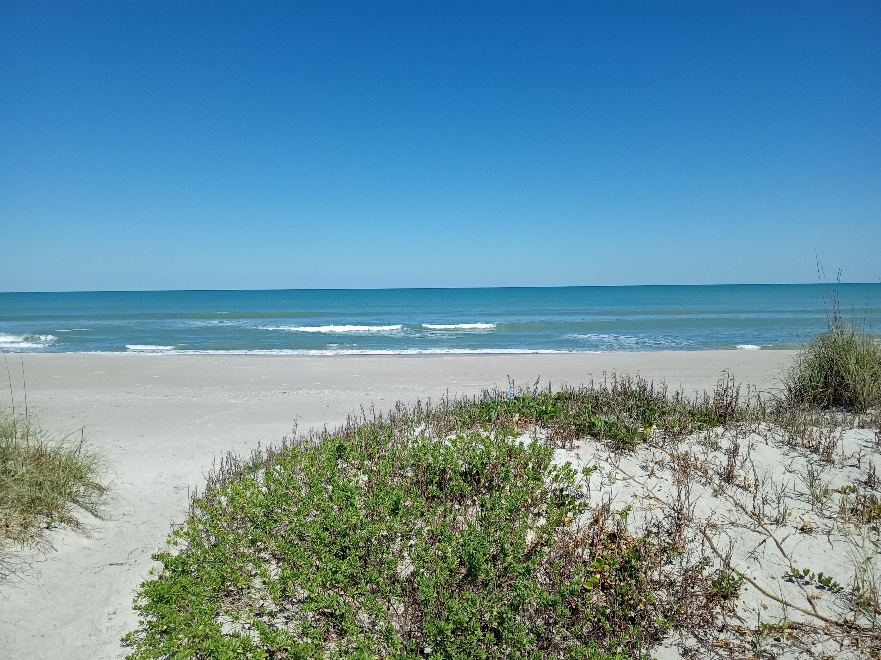 IMG_20240412_153032016 (1).jpg