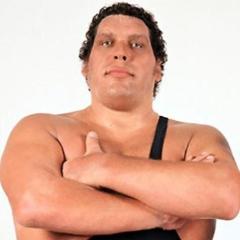 LittleJoey