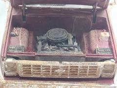 IMG_20231219_170823412.jpg