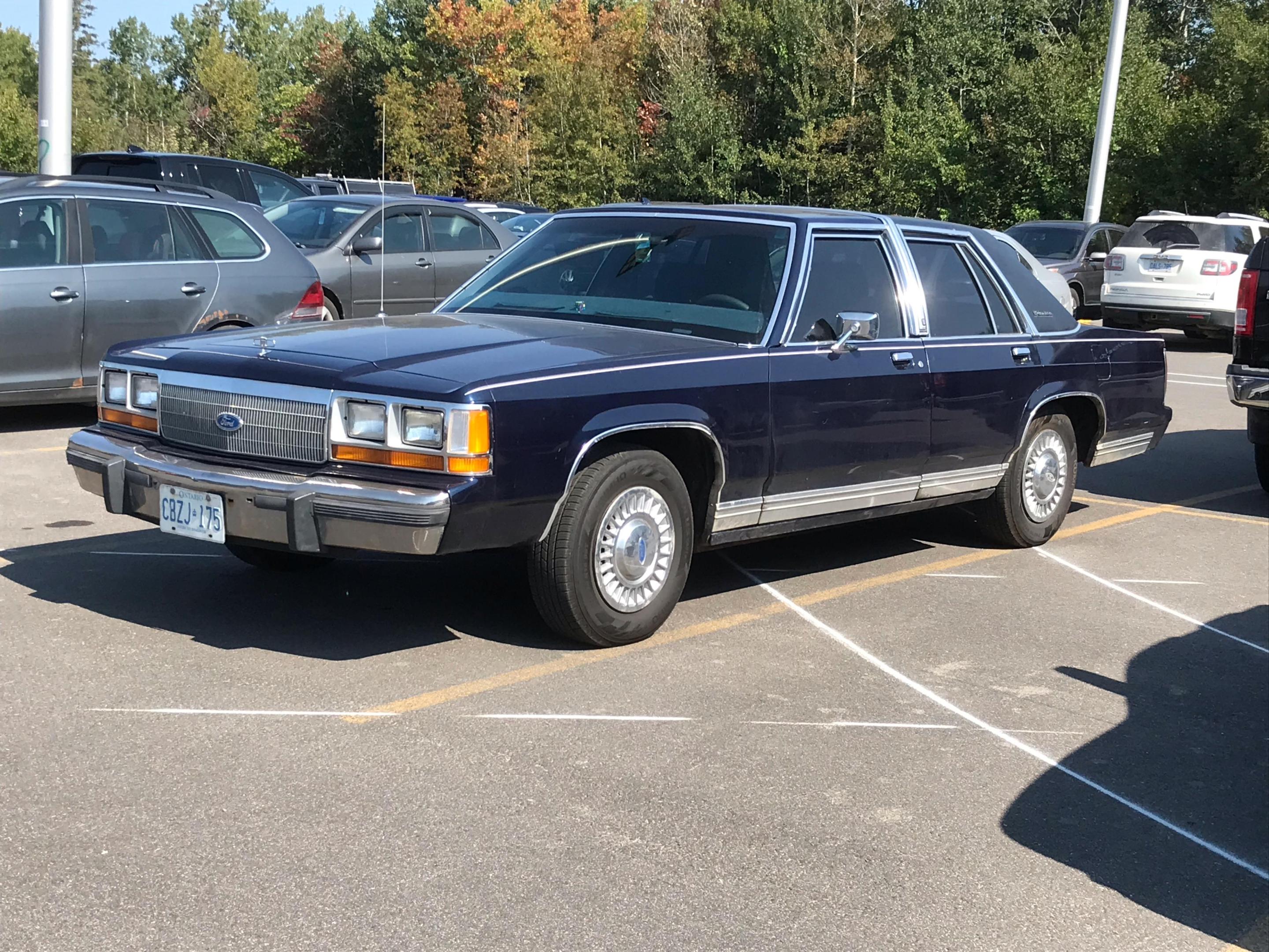 Matlock Special.jpeg