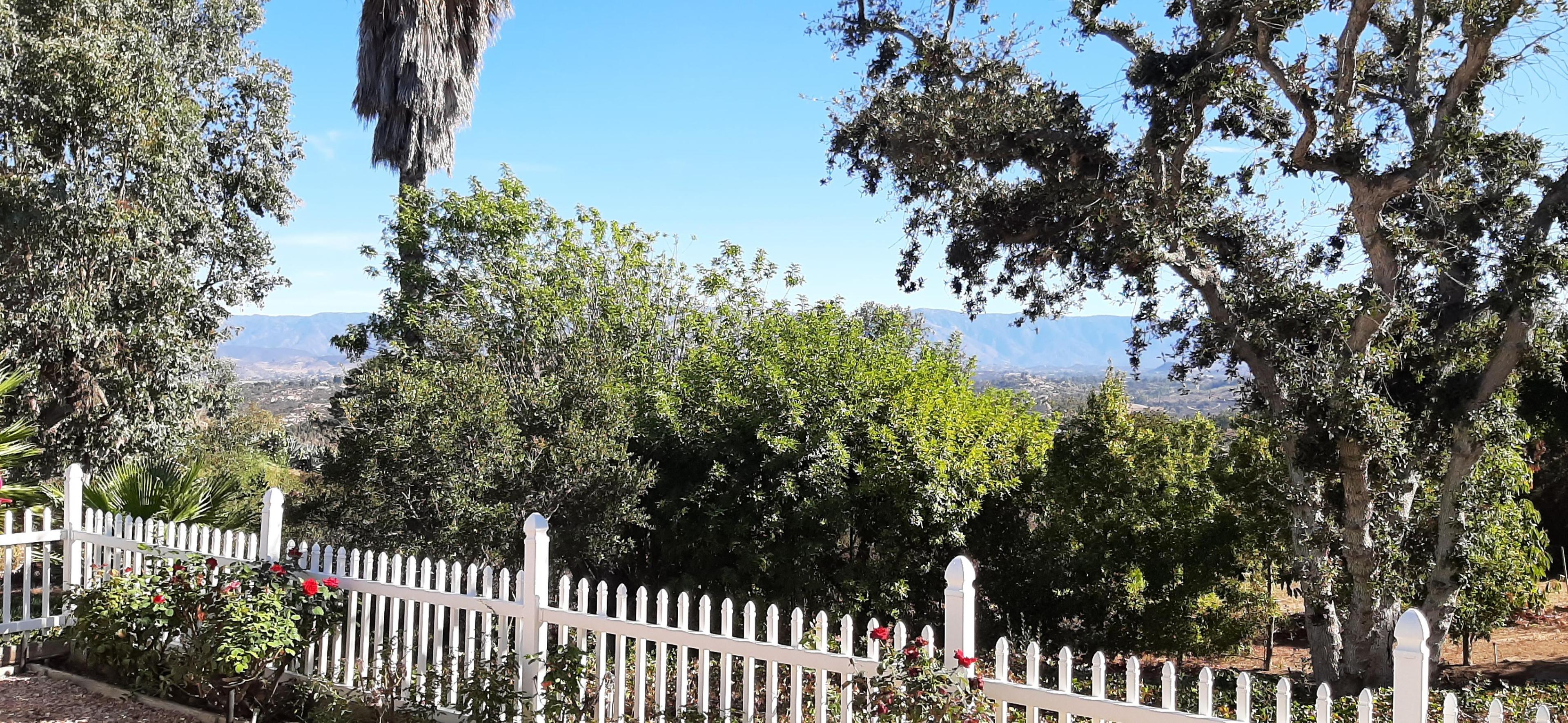 Clear Day 10-21-2024 #1.jpg