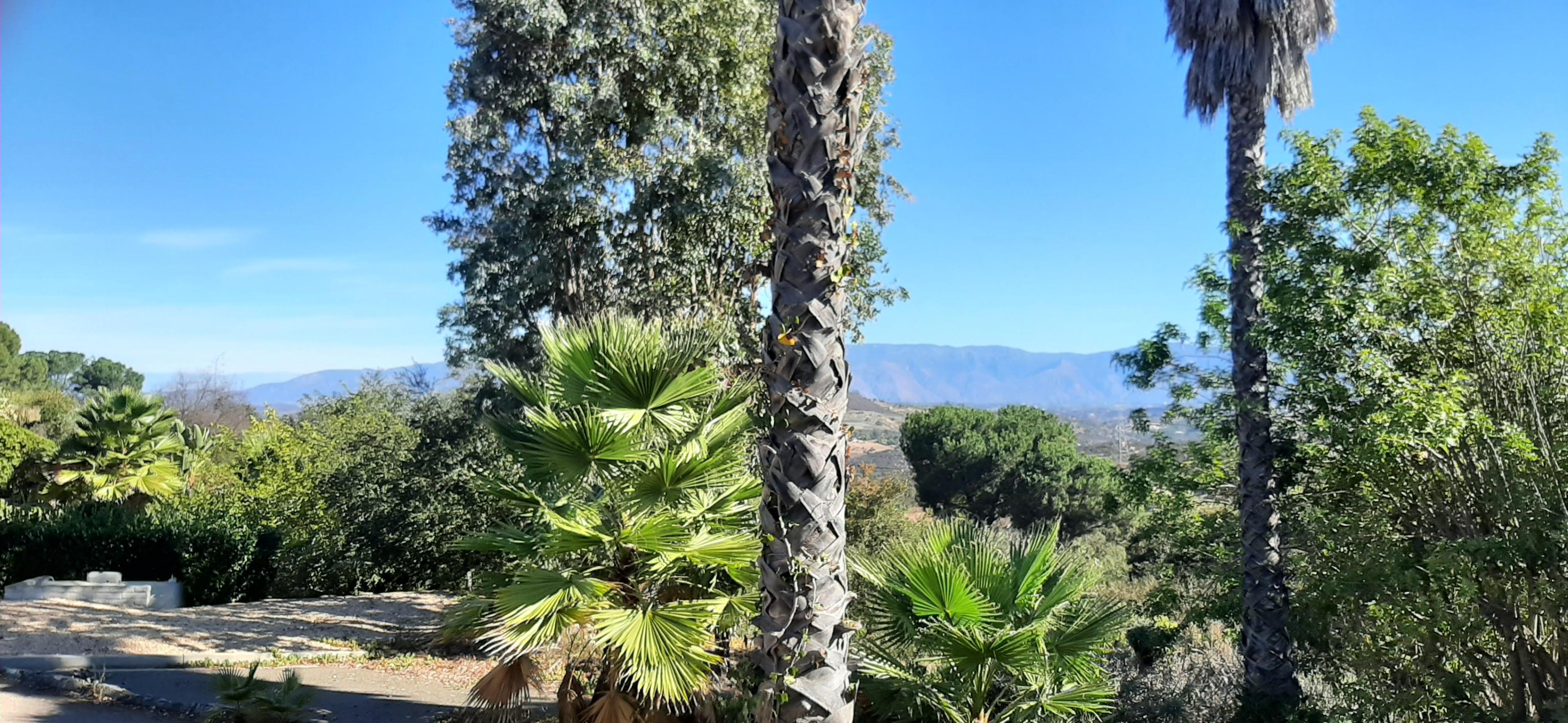 Clear Day 10-21-2024 #7.jpg