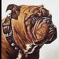 Pete68