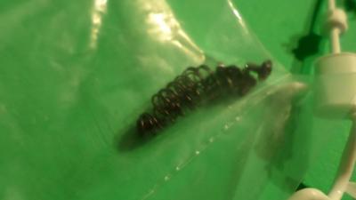 post-10315-0-42797200-1401888541_thumb.j