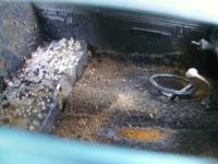 post-10364-0-19866500-1347115420_thumb.j