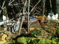 post-10364-0-23484100-1344982539_thumb.j