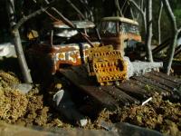 post-10364-0-60687600-1344982544_thumb.j