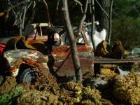 post-10364-0-74194000-1344982548_thumb.j