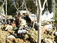 post-10364-0-97048200-1344982540_thumb.j