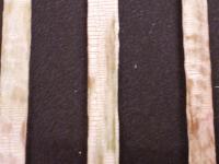 post-10375-0-29143000-1373861292_thumb.j