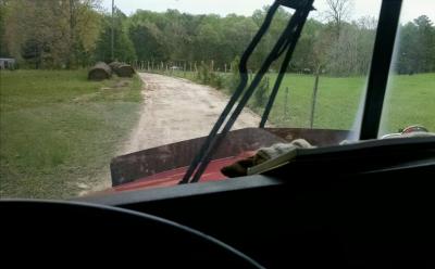 post-10426-0-67495000-1430355045_thumb.j