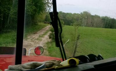 post-10426-0-77864000-1430354953_thumb.j