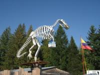 post-10435-0-15051500-1346209854_thumb.j