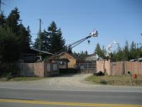 post-10435-0-19477200-1346209856_thumb.j