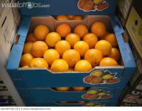 post-1059-0-35143100-1392514480_thumb.jp