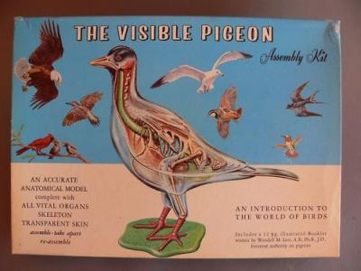 post-10661-0-27108900-1410884203_thumb.j