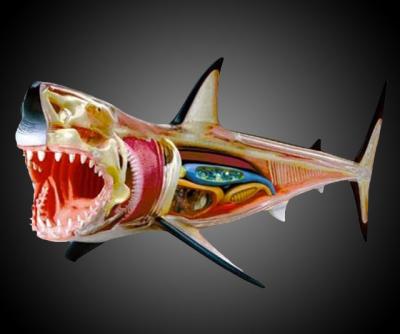 post-10661-0-59766700-1410631552_thumb.j