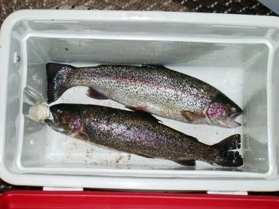 post-10837-0-42455200-1429167734_thumb.j