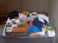 post-11070-0-61849600-1356335986_thumb.j