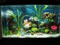 post-11305-0-18406000-1379979679_thumb.j