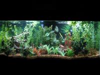 post-11305-0-49508800-1379979590_thumb.j