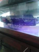 post-11394-0-42070300-1361299951_thumb.j