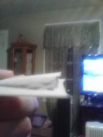 post-11394-0-59242900-1360541785_thumb.j