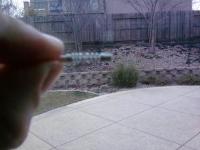 post-11400-0-97507100-1360088299_thumb.j